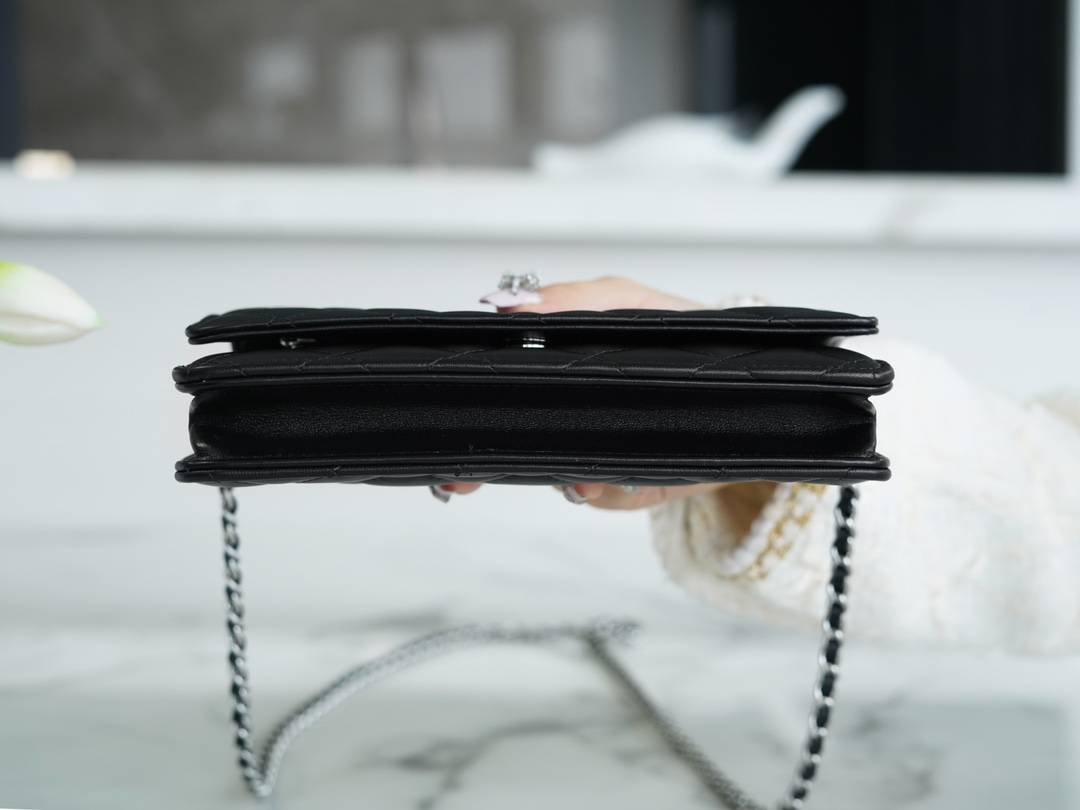 i1667958523_9512_6-1