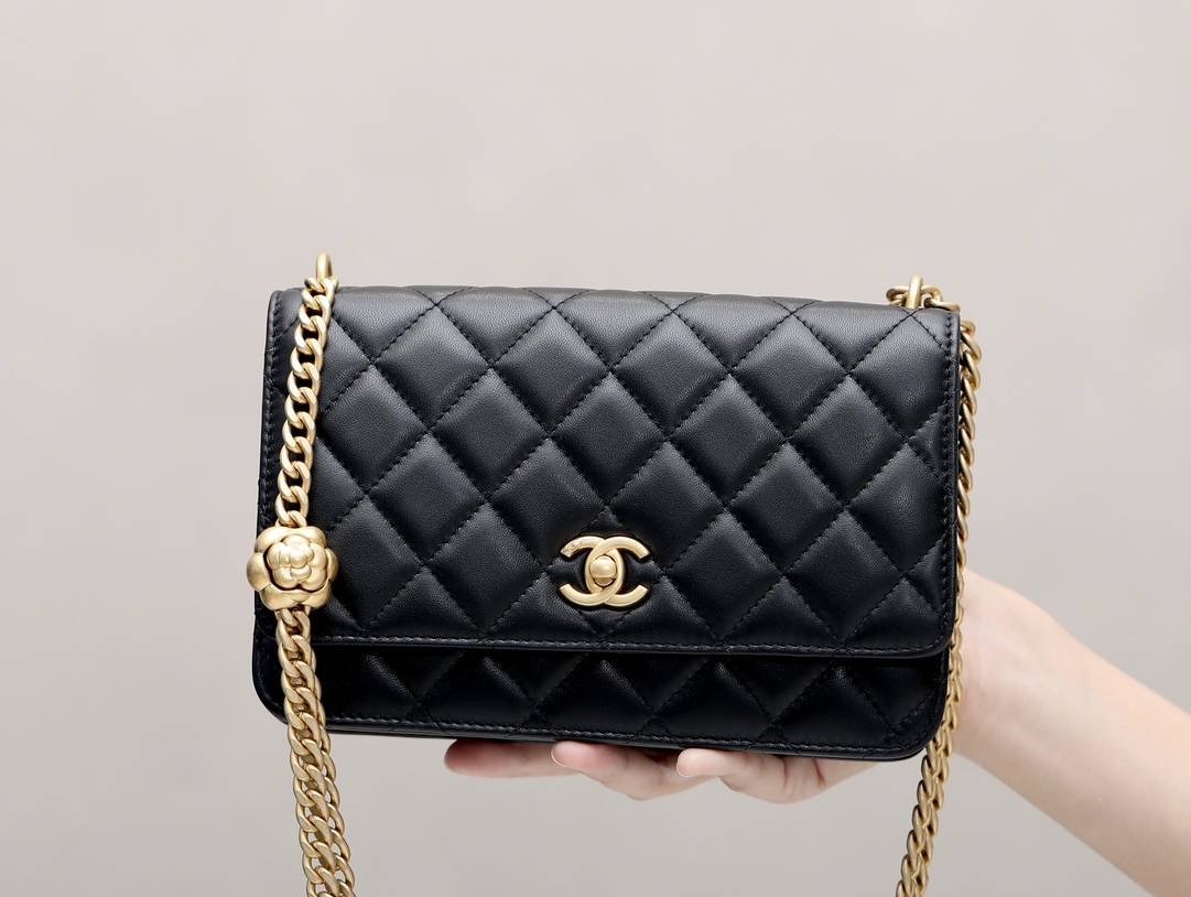 i1683553205_9851_0-1