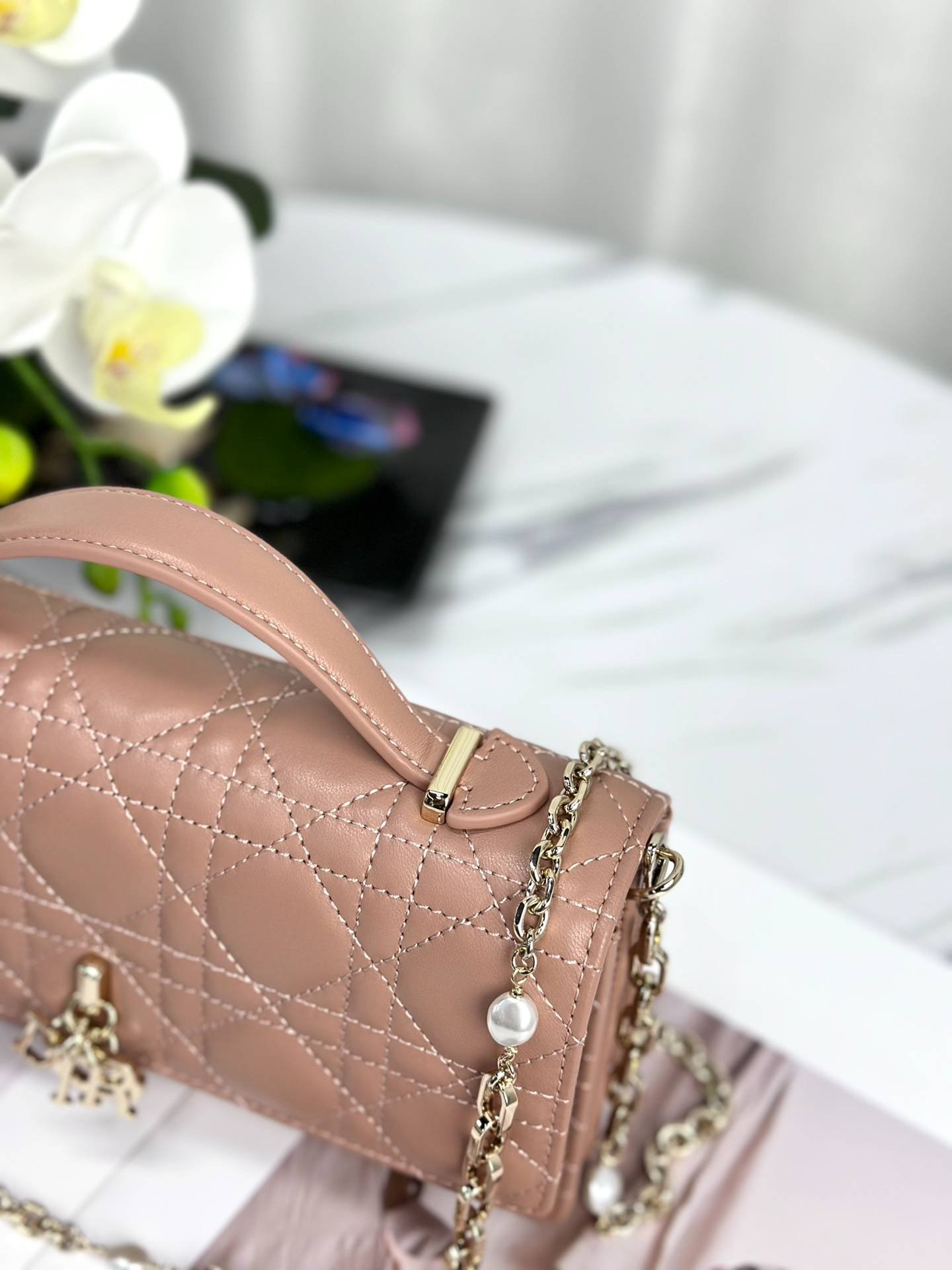 i1691040765_7121_5-1