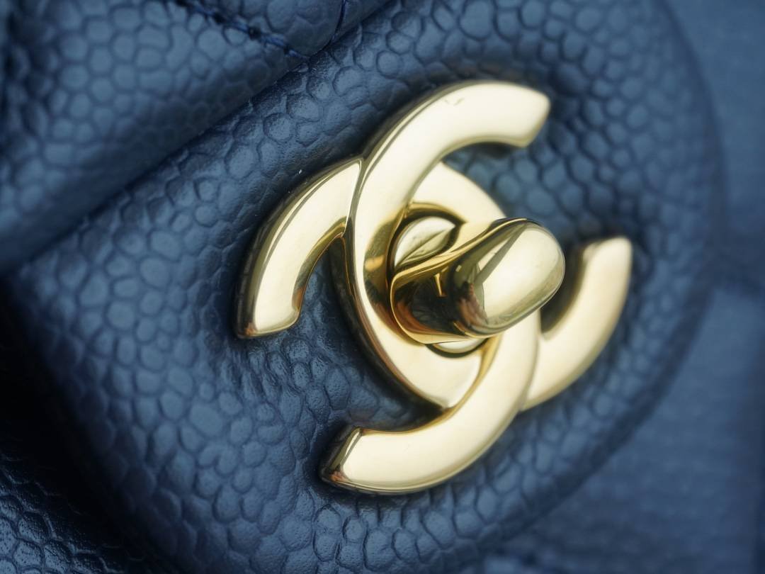 i1697430544_4660_8-1