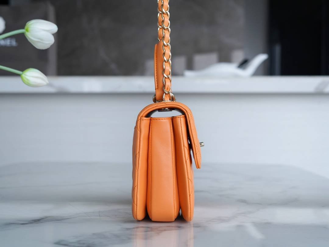 i1708405446_4381_5-2