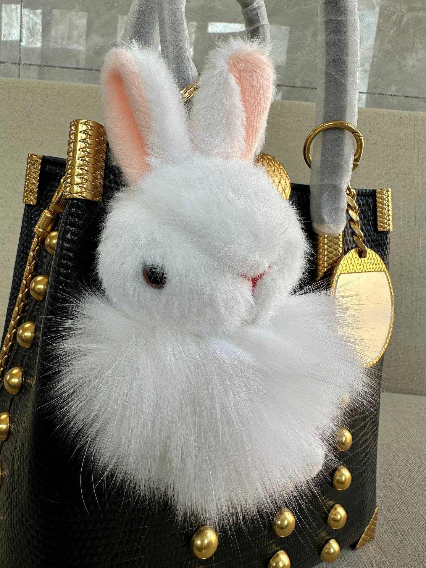 i1698871813_5112_6-1